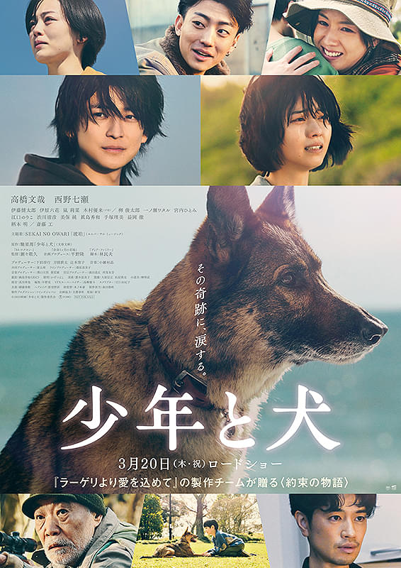 【26121】少年と犬（THE BOY AND THE DOG）